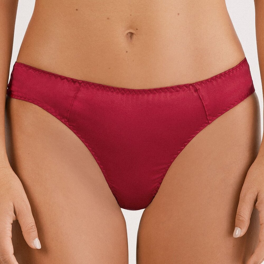 Intimissimi Silk Briefs in Red